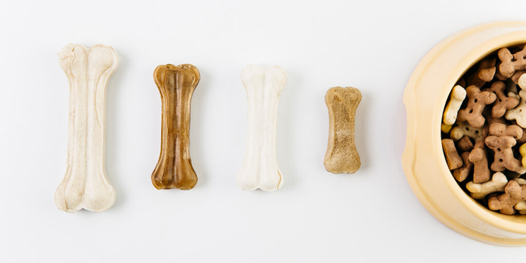 Which bone type is the best for dogs?