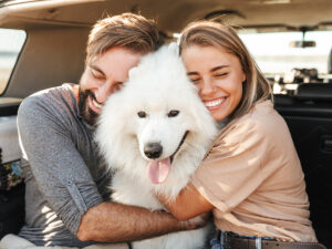 Are Samoyeds good family dogs?
