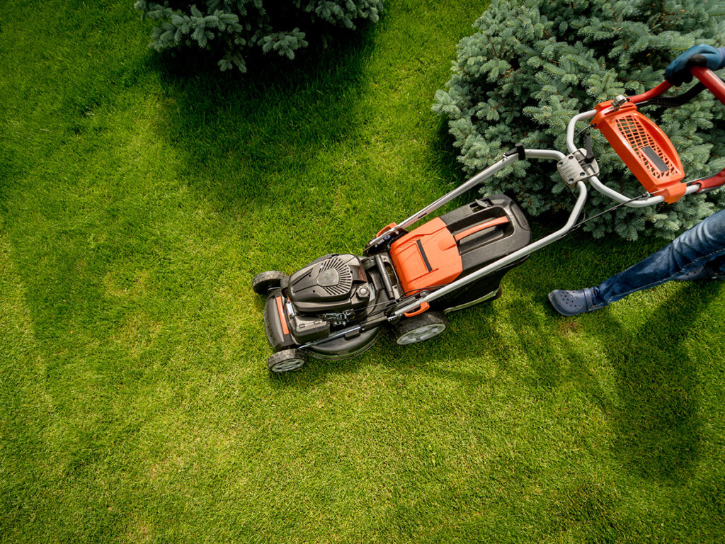 Maintaining a lawn.