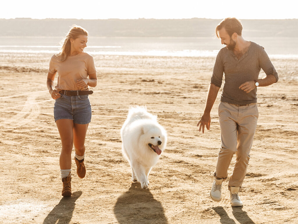 Can Samoyeds live in hot weather?