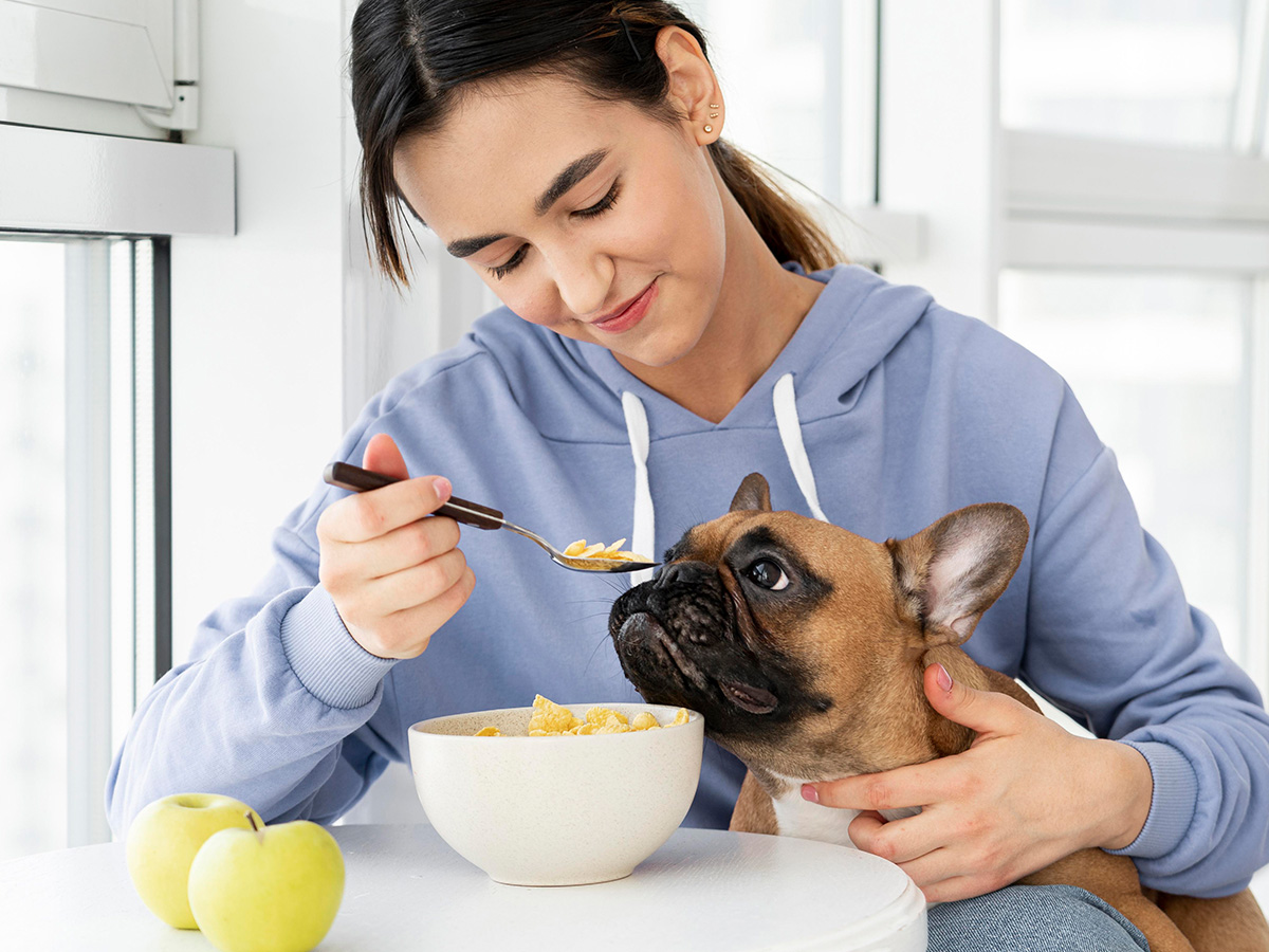 How Long Can a Dog Go Without Eating? All You Need to Know!