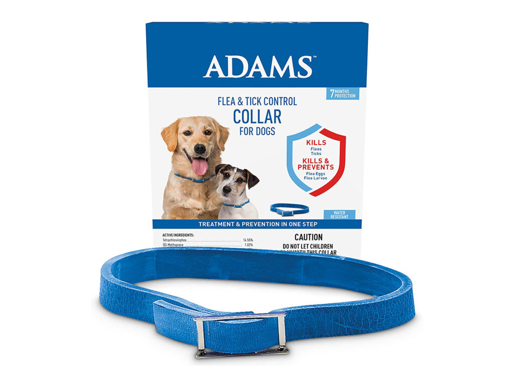 Best flea collars for dogs - Adams.