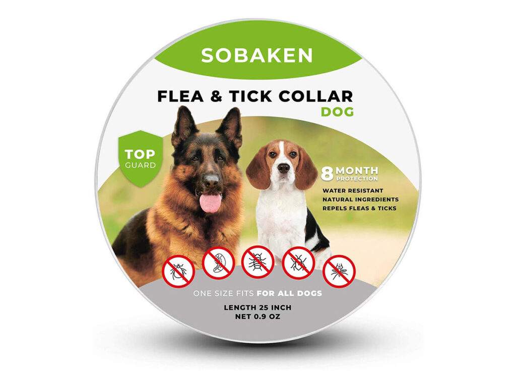 Best flea collars for dogs - Sobaken.