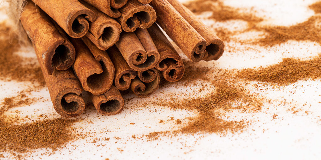 Is cinnamon bad for dogs?