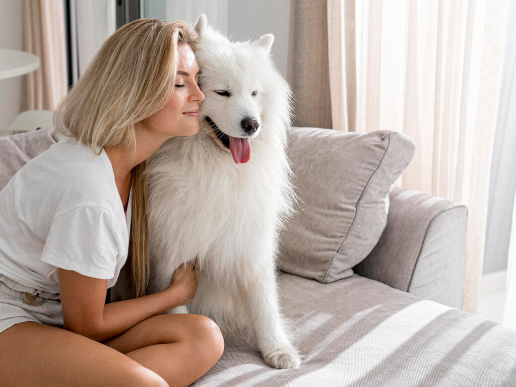 Are Samoyeds good first time dogs?